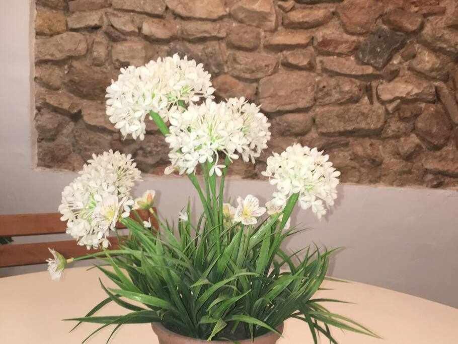 Apartament De La Susanna Old Town Mezzanine Tarragona Eksteriør billede